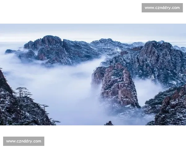 库拉vs强敌巅峰对决揭示格斗世界新格局走向未来力量与荣耀之战